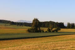 Kommler-Moos am Morgen, bei Hasenhusen. (Bild: Josef Habermacher)
