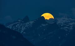 Vollmond über dem Scherhorn. (Bild: Franz Krummenacher)