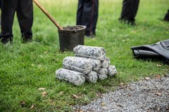 Die «Munition» steht bereit: Pfropfen aus gepresstem Altpapier. (Bild: Manuela Jans-Koch (Sempach, 30. Mai 2018))