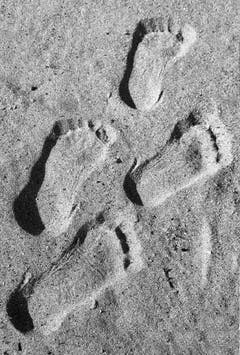 Spuren im Sand am Bodensee bei Altnau (Bild: Barbara Weber)
