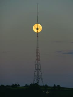 Da macht es einem Spass, frühmorgens aufzustehen, um an die Arbeit zu gehen: Sendeturm Beromünster vor Vollmond. (Bild: Jörg Stocker)
