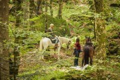 Impressionen von den Dreharbeiten im Brünigwald für den Film-Trailer von «Tell - A Story», bei dem der Obwaldner Luke Gasser Regie führen soll. (Bild: Monika Baechler)