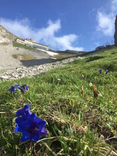 Frühling am Pilatus (Bild: Beat von Holzen)