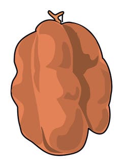 Boutefas: Waadt für eine Wurst! Ihr Name ist von «boute la faim» («verjagt den Hunger») abgeleitet. Eine Boutefas kann bis zu zwei Kilo wiegen und aussehen wie ein Fussball, dem die Luft ausgeht. Unförmig, aber saugut – falls das Schwein nicht zu fett war. (Illustration: Selina Buess)
