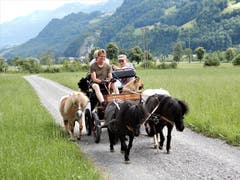 "Id Luzärner Zytig" ? Warum nid, da hättid mier nu grossi Freid ! Das war die Antwort auf meine Frage betreff dieser Aufnahme. Fotografiert auf dem Giswiler-Erlebnisweg zu Ehren vom unvergesslichen Ruedi Rymann. (Bild: Margrith Imhof-Röthlin)