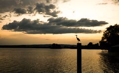 Abendstimmung am Zugersee (Bild: Daniel Hegglin)