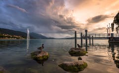 Abendstimmung am Zugersee (Bild: Daniel Hegglin)