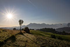 Morgenstimmung auf dem Sonnenberg bei Kriens. (Bild: Hardy Konzelmann)