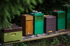 Jedes Bienenvolk bewohnt ein Magazin und erhält eine Nummer zugeteilt. Das Gewicht der Magazine wird dauernd überwacht. Sollte ein Schwarm ausziehen, erhält der Imker eine Nachricht auf sein Smartphone.