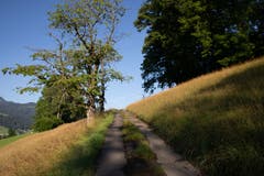 Der Weg ist das Ziel. (Bild: Hardy Konzelmann)