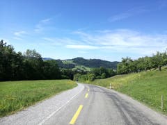 Der erste Aufstieg zum Hanfnersberg hinauf ist geschafft. (Bild: Marlen Hämmerli)