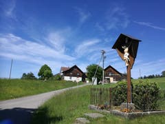 Am Jesuskreuz vorbei führt der Weg wieder ein Stück nach oben in Richtung Andwil. (Bild: Marlen Hämmerli)