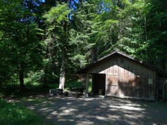 Im Anschwilerwald auf dem Sonnenberg hat es eine Grillstelle mit Hütte. (Bild: Marlen Hämmerli)