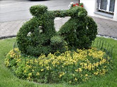 Dieses Fahrrad ist in Giswil seit mehreren Jahren im Ruhestand, zur grossen Freude verschönert es aber noch immer diese gepflegte Umgebung. (Bild: Margrith Imhof-Röthlin)