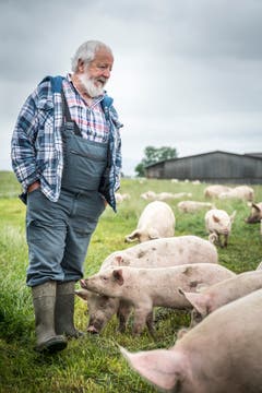 Willi Knupp kümmert sich auf dem Landwirtschaftsbetrieb des Massnahmezentrums Kalchrain um die Schweine.