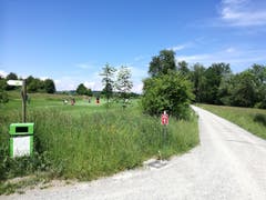 Am Golfplatz Waldkirch müssen sich Velofahrer und Wanderer den Weg teilen, was für Spaziergänger unangenehm sein kann. (Bild: Marlen Hämmerli)