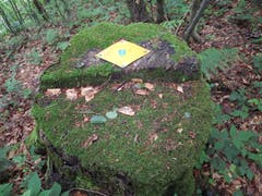 Wegweiser am Weg von der Wasserfluh zum Köbelisberg. (Bild: Rolf Schai)