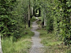 Spuren der verheerenden Naturgewalten. Aufgenommen auf dem Erlebnisweg «Schacher-Seppli» in Giswil. (Bild: Margrith Imhof-Röthlin)