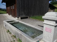 Im Weiler Hafnersberg steht ein Brunnen, der für Hunde verboten ist. (Bild: Marlen Hämmerli)