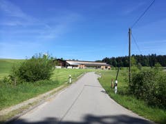 Unterwegs zum Anschwilerwald (oben rechts im Bild) biegt der Weg an dieser Stelle unvermittelt nach rechts ab. Am Hof im Bild kommt man also nicht direkt vorbei.(Bild: Marlen Hämmerli)