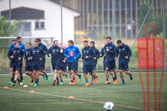 Lockeres Einlaufen zum Trainingsauftakt. (Bild: Pius Amrein (Luzern, 13. Juni 2018))
