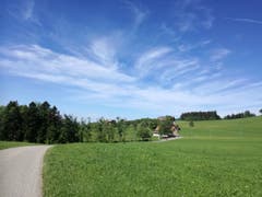 Von Wald zu Wald: Nach dem Stück durch den Anschwilerwald ist der nächste bereits zu sehen. (Bild: Marlen Hämmerli)
