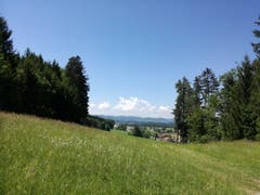 Nach Ronwil folgt ein letztes Stück Wald, bevor es am Golfplatz Waldkirch entlang nach Hauptwil geht. (Bild: Marlen Hämmerli)