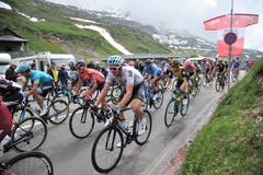Das Feld beim Bergpreis auf dem Klausen. (Bild: Urs Hanhart)