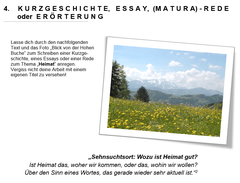 Frage aus dem Bereich Deutsch. (Quelle: Kantonsschule Trogen)