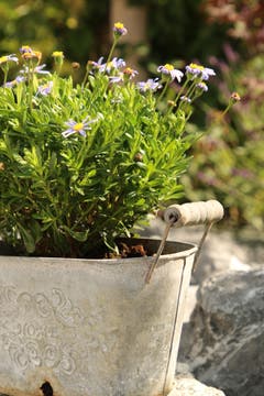 Gartendeko in der Nachbarschaft. (Bild: Irene Wanner)