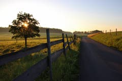 Spaziergang um den Bommer Weiher bei Sonnenaufgang in Schwaderloh. (Bild: Laura Bley)