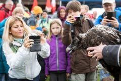 Ein beliebtes Bildsujet: Zuschauer fotografieren Bartgeier Finja. (Bild: Keystone/Alexandra Wey, 17. Juni 2018)