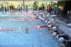 Impressionen vom Triathlon für Kinder - dem "Kids Cup by Nicola Spirig" im Seefeld-Park in Sarnen. (Bild: Matthias Stadler, 16. Juni 2018)