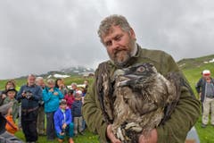 Reto Braun vom Tierpark Goldau mit Bartgeier Fredueli. (Bild PD)
