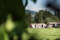 (Bild: Sabrina Stübi)