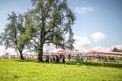(Bild: Sabrina Stübi)