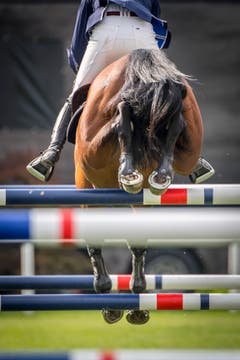 Bild: Urs Bucher