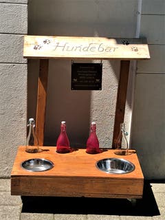 Klar ist diese Hundebar vor dem Bistro Meggenhorn eine gute Idee ! Das bringt im Moment leider gar nichts, ich bin durstig und auch ohne Hund unterwegs. Bild: Margrith Imhof-Röthlin