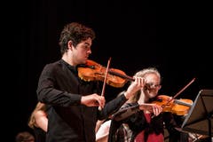 Bild: Manuela Jans-Koch (Luzern, 21. Juni 2018)