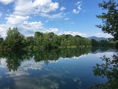 Ruhiger Morgen am Alten Rhein. (Bild: Toni Sieber)
