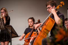 Bild: Manuela Jans-Koch (Luzern, 21. Juni 2018)