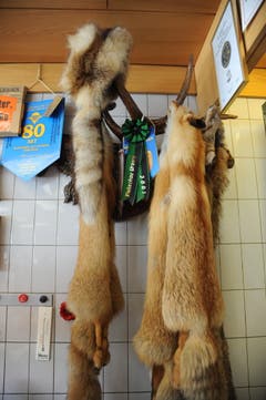 Wenn Ferdi Muheim in Russland ist, geht er auch ab und zu auf die Jagd. Ein paar Trophäen hängen auch in seiner Metzgerei in Andermatt. (Bild: Urs Hanhart, 8. Juni 2018)