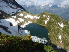 Sommeranfang beim Bristensee. (Bild: Gusti Tresch)