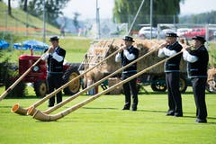 Alphornblasen auf dem Fussballplatz Wissenhusen, die Alphorngruppe Blose, Späck, und Bier aus Beromünster. (Bild: Eveline Beerkircher (Schötz, 23. Juni 2018))