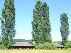 Alte Seebadi in der Seebucht Sursee. (Bild: Josef Habermacher, 23. Juni 2018))