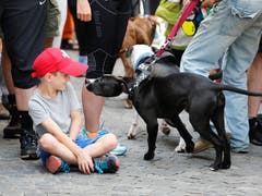 Kind und Hund auf Tuchfhühlung. (Bild: Stefan Kaiser (Zug, 25. Juni 2018))