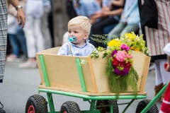 Festumzug am Jodlerfest Schötz. Im Bild: Alpaufzug mit Kühen der JVA Wauwilermoos. (Bild: Manuela Jans-Koch. Schötz 24.Juni 2018)