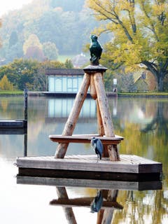 St.Galler Mannenweier (Leserbild: Michèle Schneider)