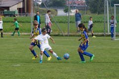 Beim Schülerturnier trat jedes Team mit Mädchen und Jungen gemischt auf.