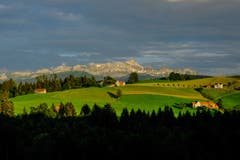 Der Alpstein von Schwellbrunn aus. (Bild: Luciano Pau)